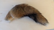 Rotfuchs echtfell fuchsschwanz gebraucht kaufen  Königs Wusterhausen