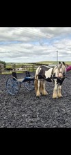Lightweight exercise cart for sale  ROSSENDALE