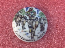T34 pins transhumance d'occasion  La Roche-sur-Yon