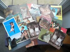 Postcards cats kittens for sale  NOTTINGHAM