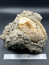 Golden calcite crystal for sale  Lebanon
