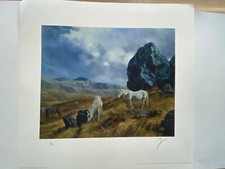 Horse limited edition for sale  HELENSBURGH