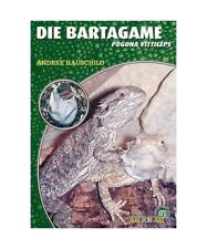 Bartagame pogona vitticeps gebraucht kaufen  Trebbin