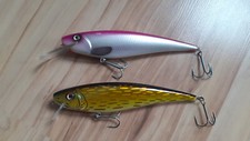 Hybrida crankbait twitchbait gebraucht kaufen  Bassenheim Kettig, St.Sebastian