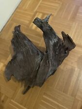 Wurzel xxl gebraucht kaufen  Berlin