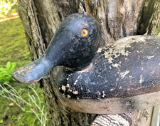 Northern minnesota bluebill for sale  Puposky
