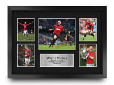 Wayne rooney manchester for sale  MANCHESTER