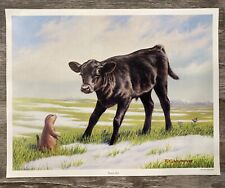 Black angus print for sale  Middletown