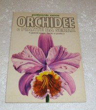 Orchidee piante serra usato Orchidee piante serra usato  Gaeta