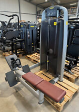 Technogym selection line gebraucht kaufen  Gachenbach
