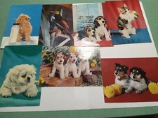 Lotto cartoline animali usato  Sarzana