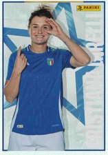 Panini calciatrici 2024 usato  Milano