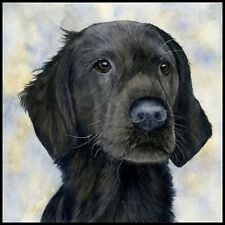 Flat coated retriever for sale  YEOVIL
