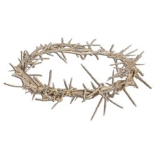 crown thorns for sale crown thorns for sale Eastland