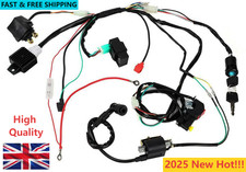 Cdi wire harness for sale  DUNSTABLE