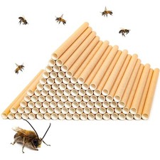 Mason bee nest for sale  Cartersville