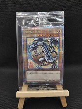Blauäugiger drache quarter gebraucht kaufen  Neuwied
