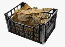 Cassetta corteccia sughero usato Cassetta corteccia sughero usato  Italia