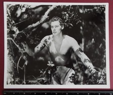 Tarzan Escapes, M.G.M 1936. Foto original de 10 x 8 pol. Johnny Weissmuller como Tarzan, usado comprar usado Tarzan Escapes, M.G.M 1936. Foto original de 10 x 8 pol. Johnny Weissmuller como Tarzan, usado comprar usado  Enviando para Brazil