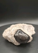 Apache tear mineral for sale  BARNARD CASTLE