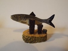 Anglers showcase collection for sale  IVER