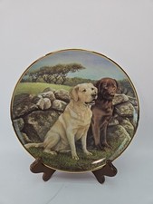 Trusted companions nigel for sale  Nampa
