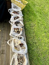 Assorted nuts bolts for sale  SEVENOAKS