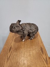 Bf65 bunny rabbit for sale  Hill City