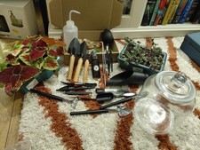 Rainforest terrarium kit for sale  GLOUCESTER