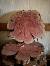 Live edge cedar for sale  Guston