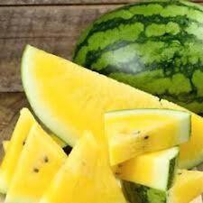 Seeds watermelon yellow for sale  Houma