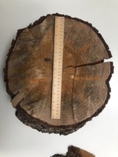 Wooden tree trunk for sale  LONDON