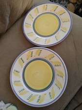 Williams sonoma tournesol for sale  Lumberton