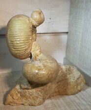 Ensemble ammonites nautile d'occasion  Boussens