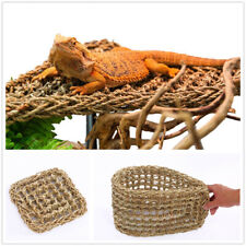 Hammock reptile platform for sale  HATFIELD
