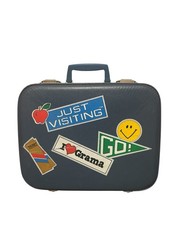 Vintage girl luggage for sale  Le Sueur