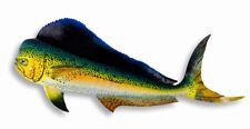 Escultura decorativa pintada à mão 28" Mahi Dolphin pesca em água salgada 28G comprar usado  Enviando para Brazil