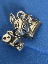 Frenchie puppy dog for sale  HOLYWELL