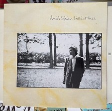 David sylvian brilliant usato  Val Masino