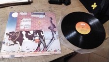 Squallor vacca vinile usato  Chioggia