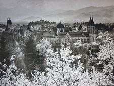 Bregenz voralberg teilansicht gebraucht kaufen  Saarbrücken