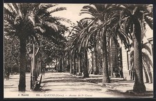 CPA Ajaccio /Corse, Avenue du 1er Consul  comprar usado  Enviando para Brazil