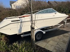 Sea ray for sale  NEWTON ABBOT