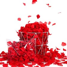 Confezioni artificiali rossi usato  Mercato San Severino