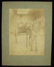 Photographie ancienne c1900 d'occasion  Toulouse-