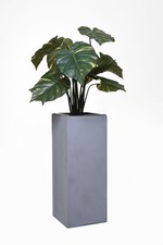 glasblumen gebraucht kaufen glasblumen gebraucht kaufen Wilhelmshaven