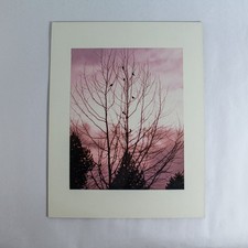 Vintage matted photograph for sale  Mcminnville