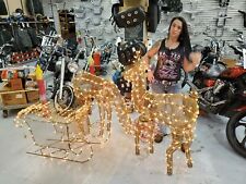 Lighted christmas reindeer for sale  Butler