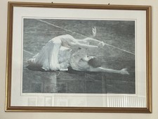 Robert heindel ballet for sale  WORCESTER
