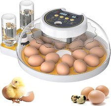 game hatching eggs for sale game hatching eggs for sale SALFORD